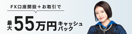 【新規口座開設プログラム】新規口座開設＆お取引で最大55万円キャッシュバック