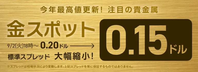 nove様 フォロー割 専用出品 nove様 フォロー割 専用出品 2025年最新】フォロー割実施中！の