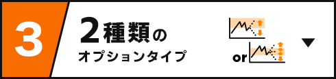 ３ ２種類のオプションタイプ